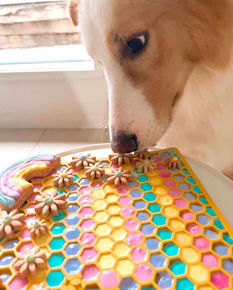 Sodapup Sodapup Honeycomb Enrichment Likmat Sodapup Sodapup Honeycomb Enrichment Likmat