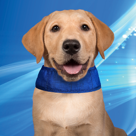 Aqua Coolkeeper Aqua Coolkeeper halsband OP=OP Aqua Coolkeeper Aqua Coolkeeper halsband OP=OP