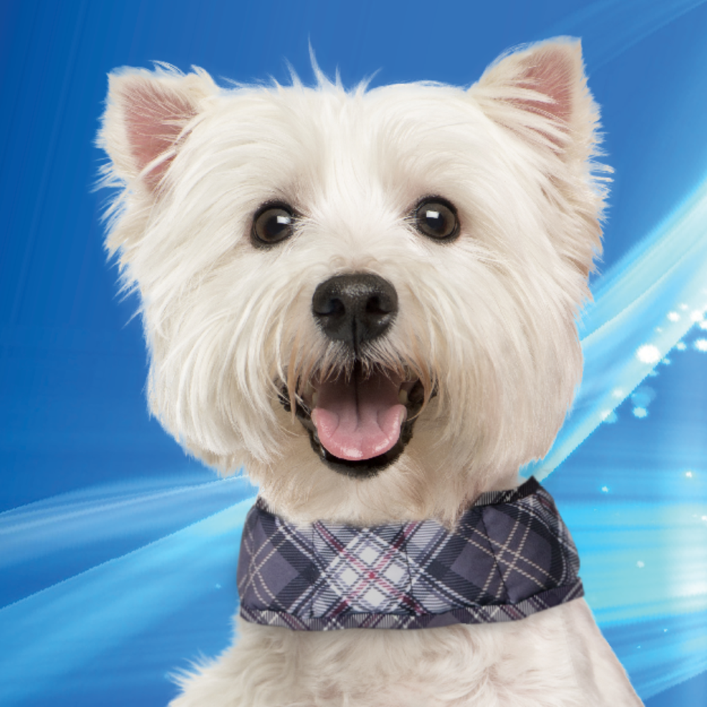 Aqua Coolkeeper Aqua Coolkeeper halsband OP=OP Aqua Coolkeeper Aqua Coolkeeper halsband OP=OP