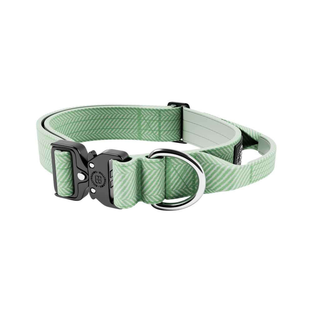 BullyBillows BullyBillows 4CM Combat Halsband with handle Tweed Collectie