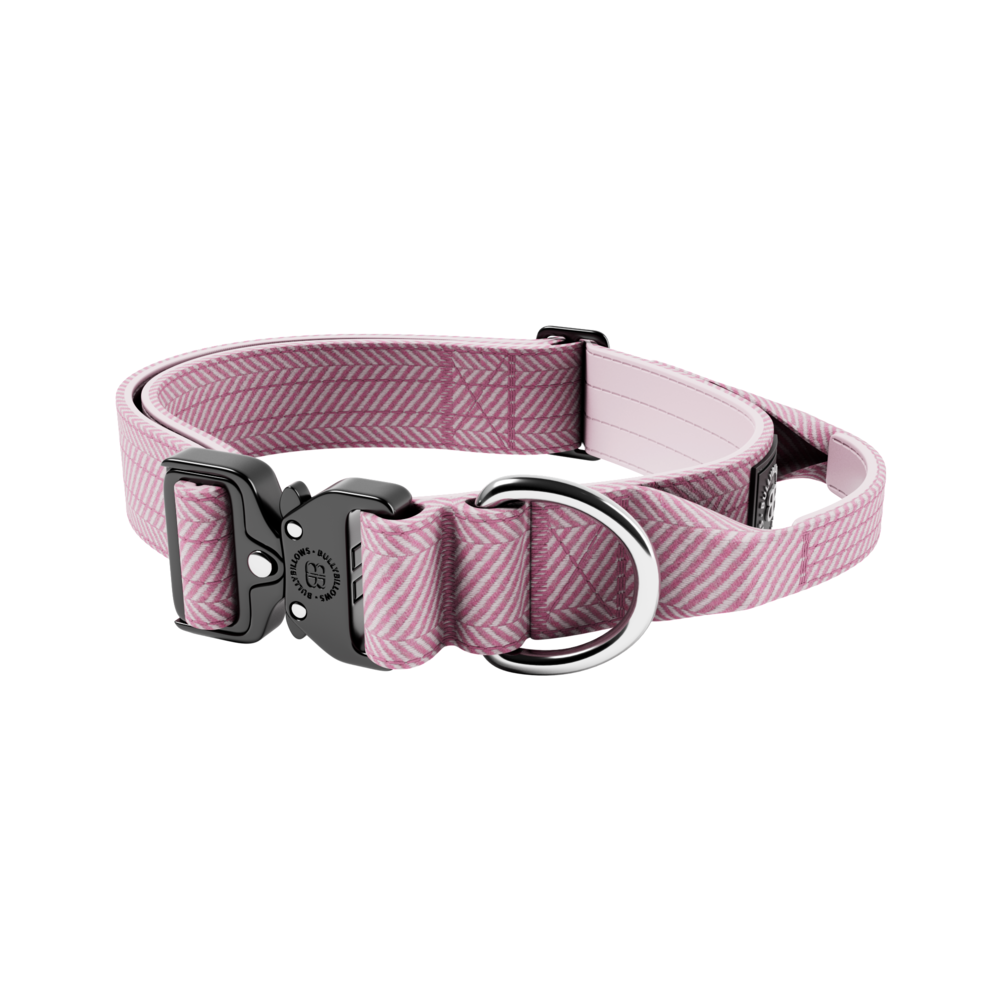 BullyBillows BullyBillows 4CM Combat Halsband with handle Tweed Collectie