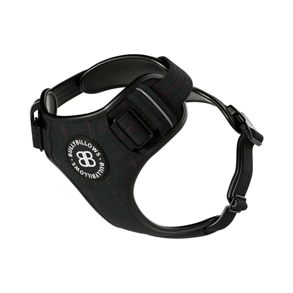 BullyBillows BullyBillows Premium Harness Tweed Collection BullyBillows BullyBillows Premium Harness Tweed Collection
