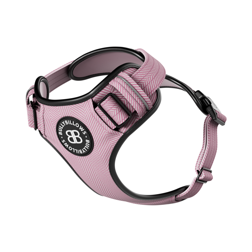 BullyBillows Premium Comfort Harness Tweed Collection The Dog Lounge