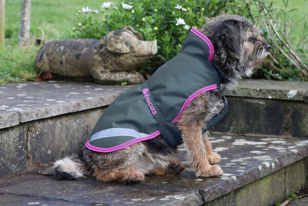 Bucas Bucas Hondenjas Charcoal 300 g Bucas Bucas Hondenjas Charcoal 300 g