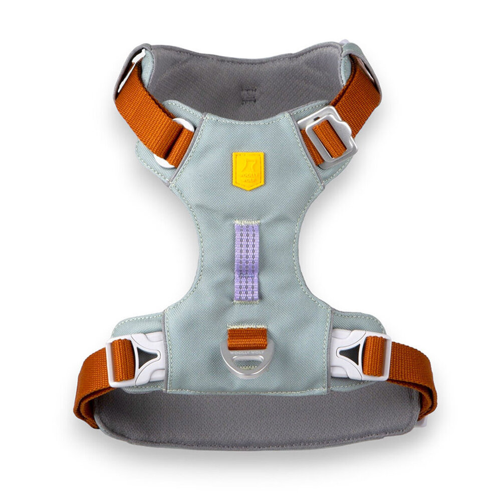 Woolly Wolf Woolly Wolf Alpha 360 Glacier Green Mix Hondentuig Woolly Wolf Woolly Wolf Alpha 360 Glacier Green Mix Hondentuig