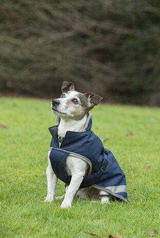 Bucas Bucas Hondenjas Navy Blue 150 gr