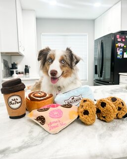 Pluche speelgoed voor honden