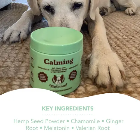 Natural Dog Company Natural Dog Company Calming Supplement