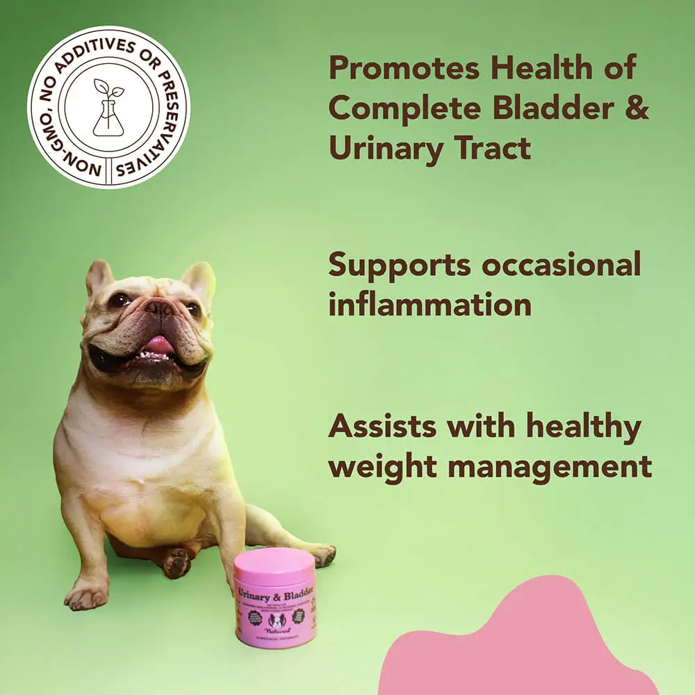 Natural Dog Company Natural Dog Company Urinary & Bladder Supplement