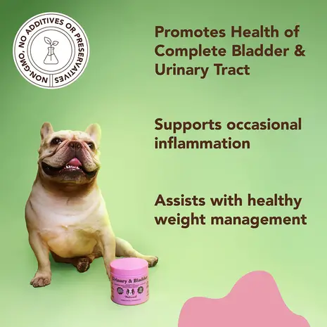 Natural Dog Company Natural Dog Company Urinary & Bladder Supplement