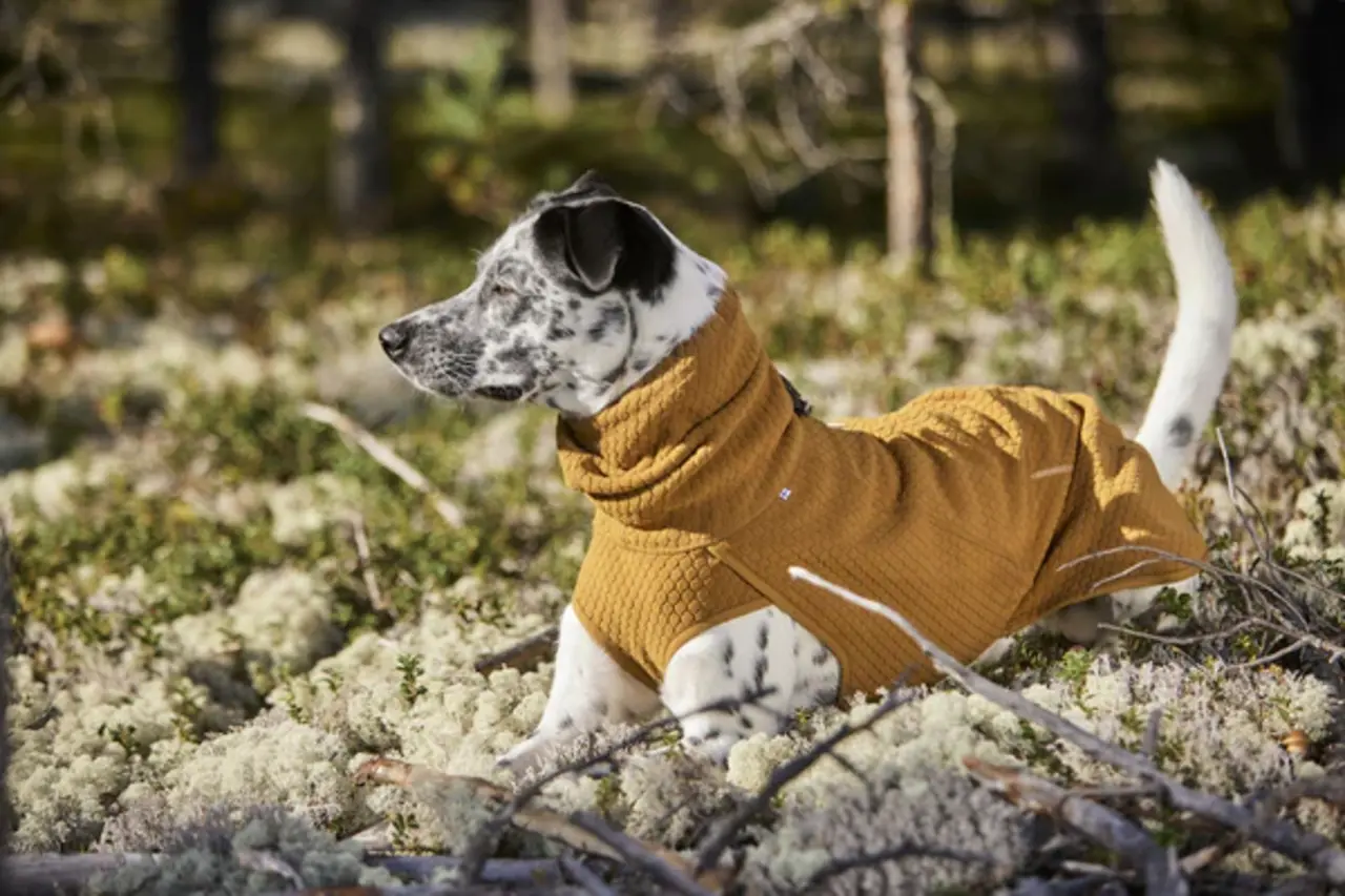 Hurtta Hurtta Warming Midlayer Eco Hondenjas Maat 35