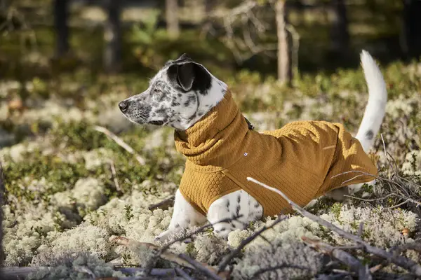 Hurtta Hurtta Warming Midlayer Eco Hondenjas Maat 35