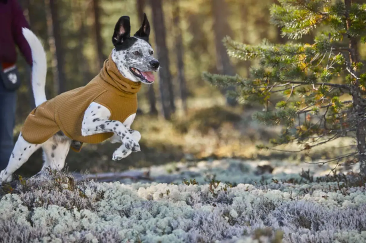 Hurtta Hurtta Warming Midlayer Eco Hondenjas Maat 35
