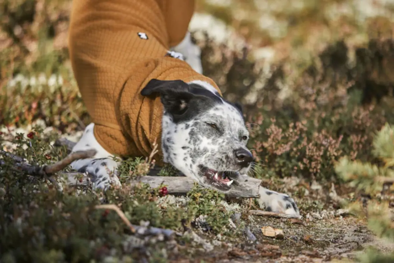 Hurtta Hurtta Warming Midlayer Eco Hondenjas Hurtta Hurtta Warming Midlayer Eco Hondenjas