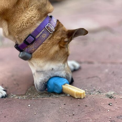 Sodapup Sodapup Petz Rubber Yak Chew Holder Sodapup Sodapup Petz Rubber Yak Chew Holder