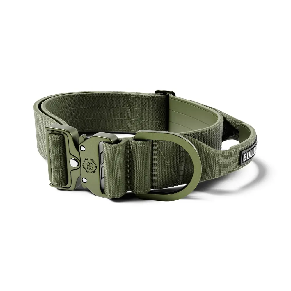 BullyBillows Bullybillows Lighter Combat Collar 5cm