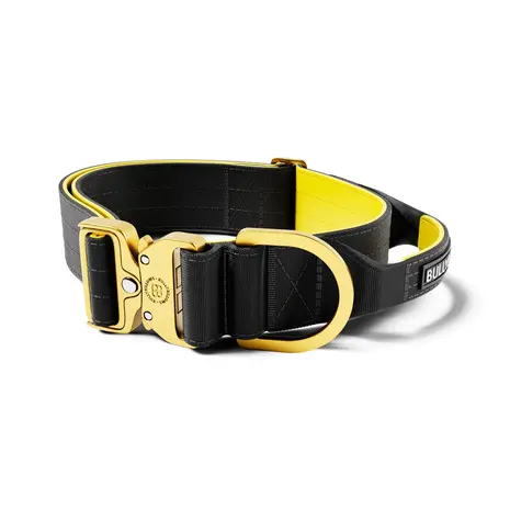BullyBillows Bullybillows Lighter Combat Collar 5cm