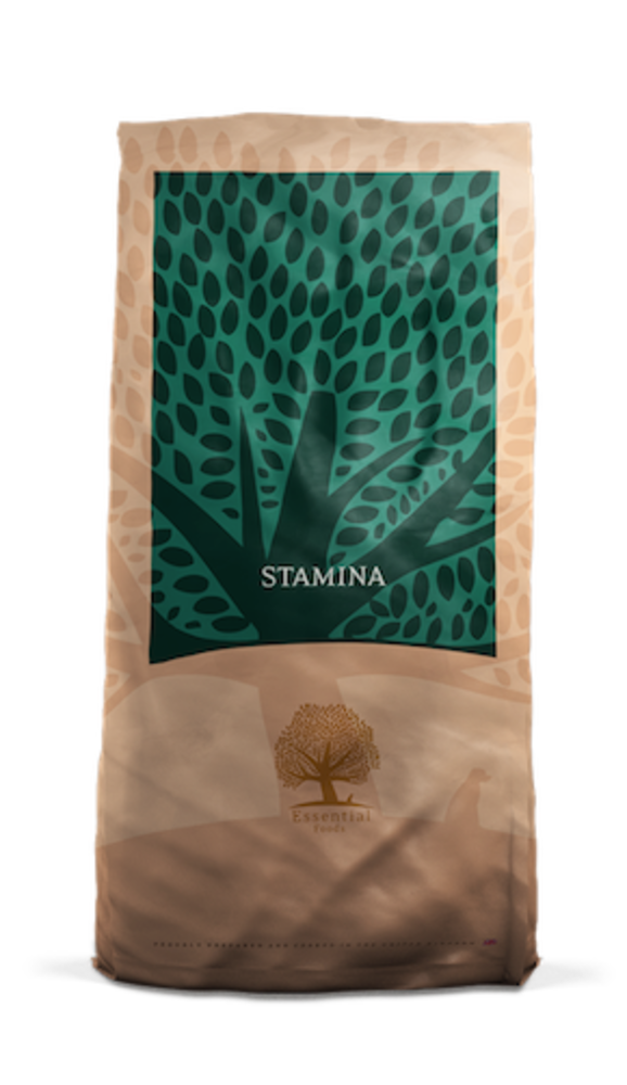 Essential Foods Essential Foods - Stamina Essential Foods Essential Foods - Stamina