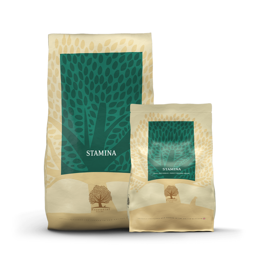 Essential Foods Essential Foods - Stamina Essential Foods Essential Foods - Stamina