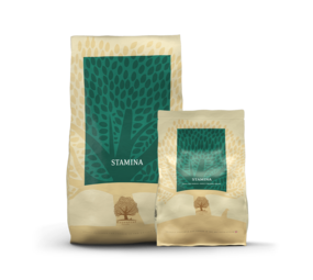 Essential Foods Essential Foods - Stamina Essential Foods Essential Foods - Stamina