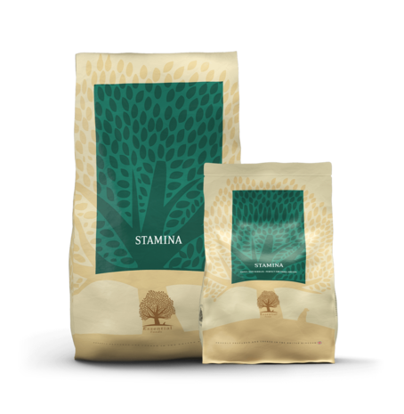 Essential Foods Essential Foods - Stamina Essential Foods Essential Foods - Stamina