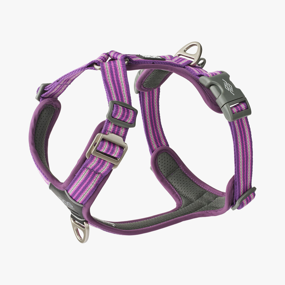 Dog Copenhagen Dog Copenhagen Comfort Walk Air 3.0 Harness Dog Copenhagen Dog Copenhagen Comfort Walk Air 3.0 Harness