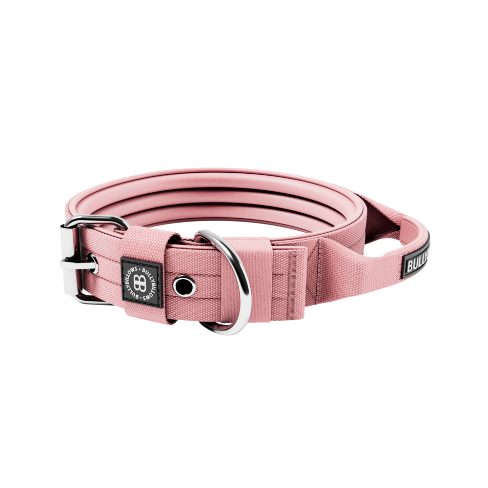 BullyBillows Bullybillows Halsband 4cm Pin Buckle With Handle BullyBillows Bullybillows Halsband 4cm Pin Buckle With Handle