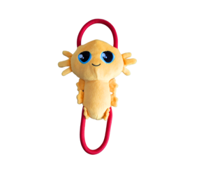 Pawstory Pawstory Axel Axolotl