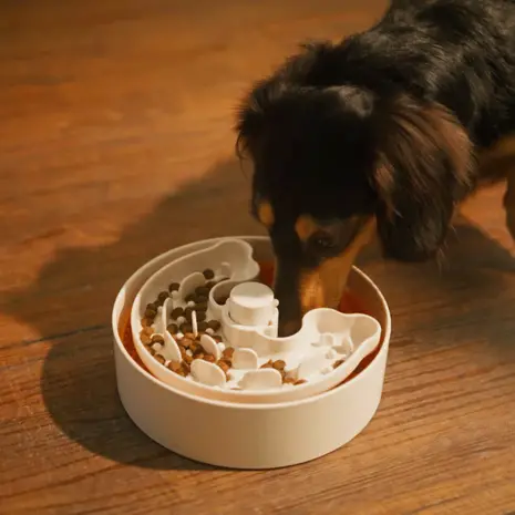 Puzzle Feeder Lick Bowl Geel Lite (voor kleine honden)
