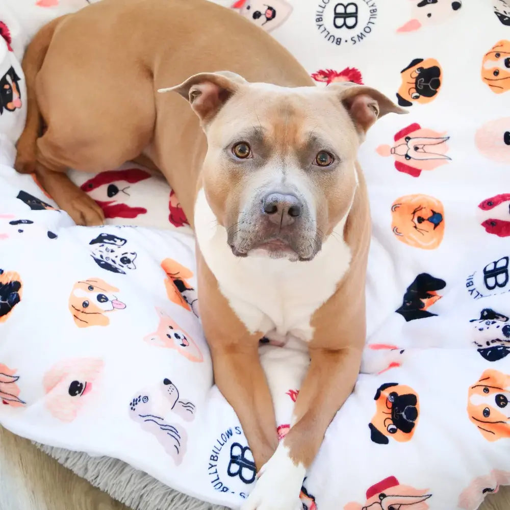 BullyBillows BullyBillows Luxe kleedje voor hond en baasje Wit BullyBillows BullyBillows Luxe kleedje voor hond en baasje Wit