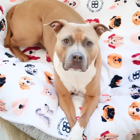 BullyBillows BullyBillows Luxe kleedje voor hond en baasje Wit BullyBillows BullyBillows Luxe kleedje voor hond en baasje Wit