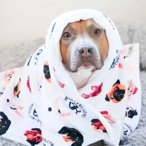BullyBillows BullyBillows Luxe kleedje voor hond en baasje Wit BullyBillows BullyBillows Luxe kleedje voor hond en baasje Wit