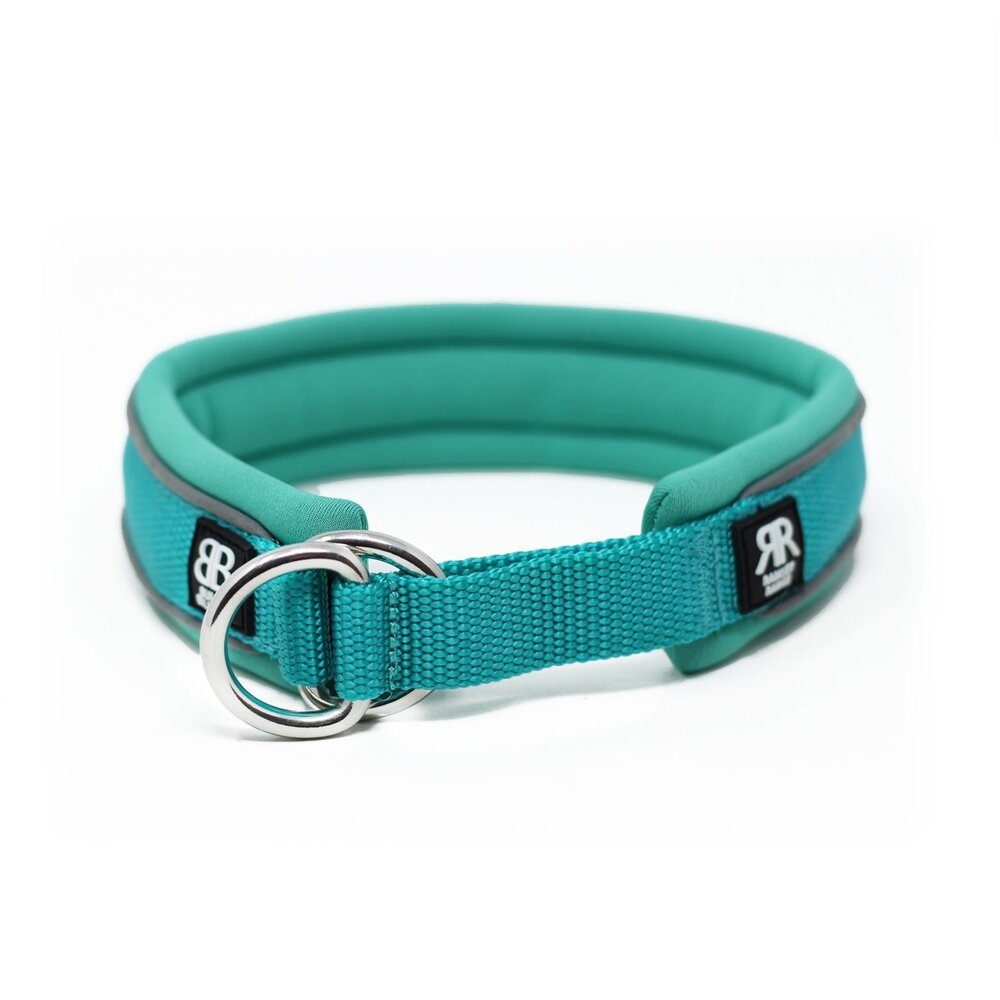 BullyBillows 3CM Slip on collar The Dog Lounge