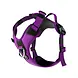 BullyBillows Bullybillows Hurricane Lighter Harness