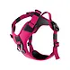 BullyBillows Bullybillows Hurricane Lighter Harness
