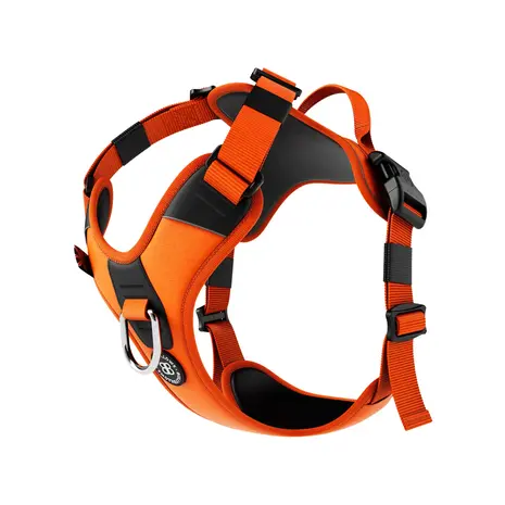 BullyBillows Bullybillows Hurricane Lighter Harness