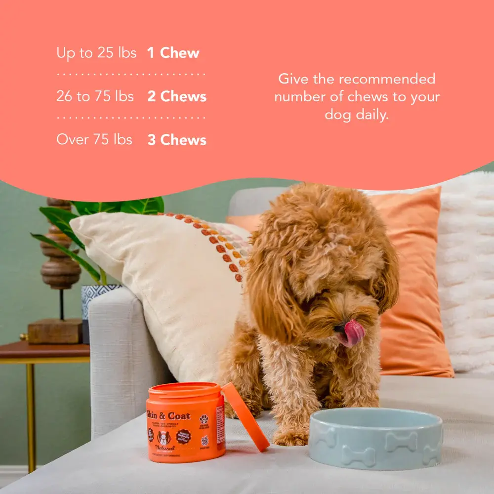 Natural Dog Company Natural Dog Company Skin and Coat Supplement Natural Dog Company Natural Dog Company Skin and Coat Supplement