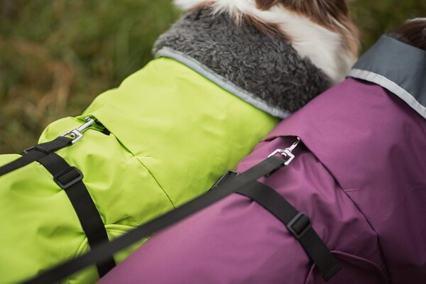 Pomppa PerusPomppa Hondenjas met tuig opening Pomppa PerusPomppa Hondenjas met tuig opening