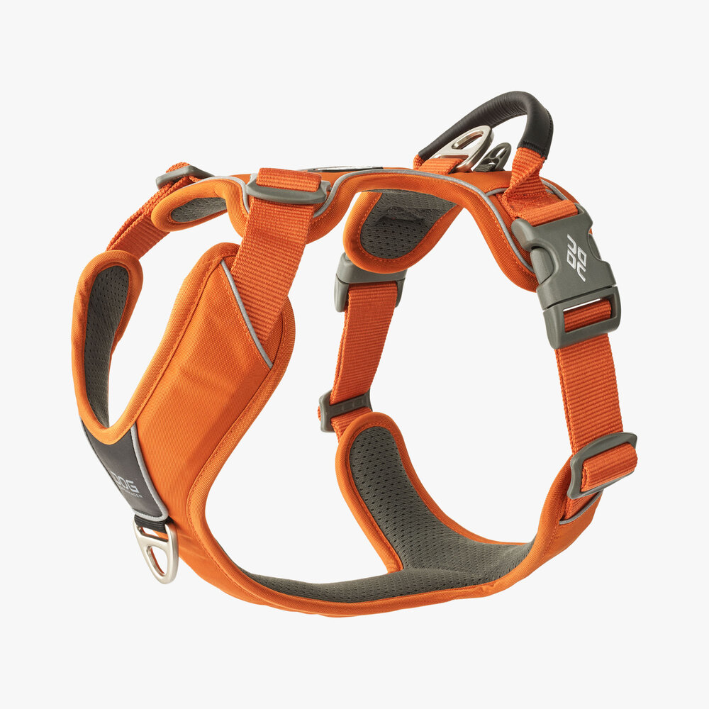 Dog Copenhagen Dog Copenhagen Comfort Walk Pro 3.0 Harness