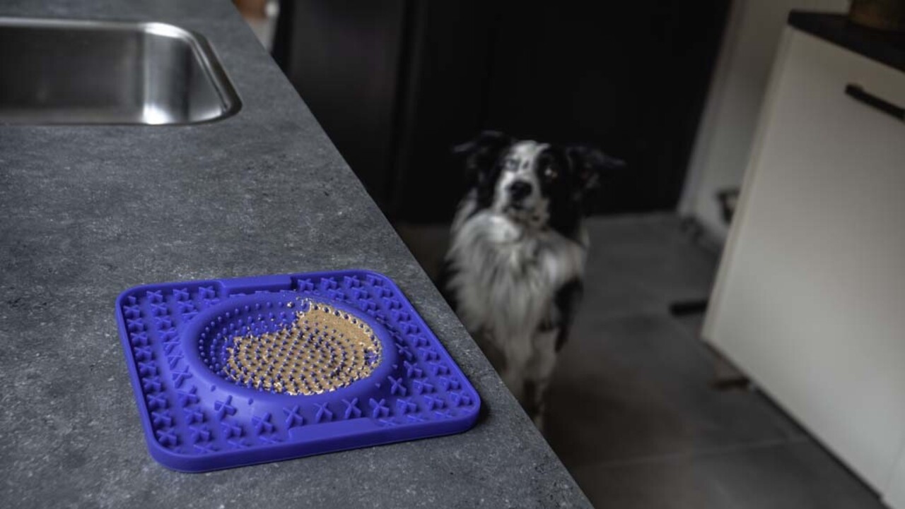 Eat Slow Live Longer Lick Mat Wave