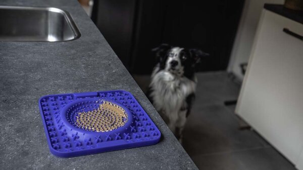 Eat Slow Live Longer Lick Mat Wave