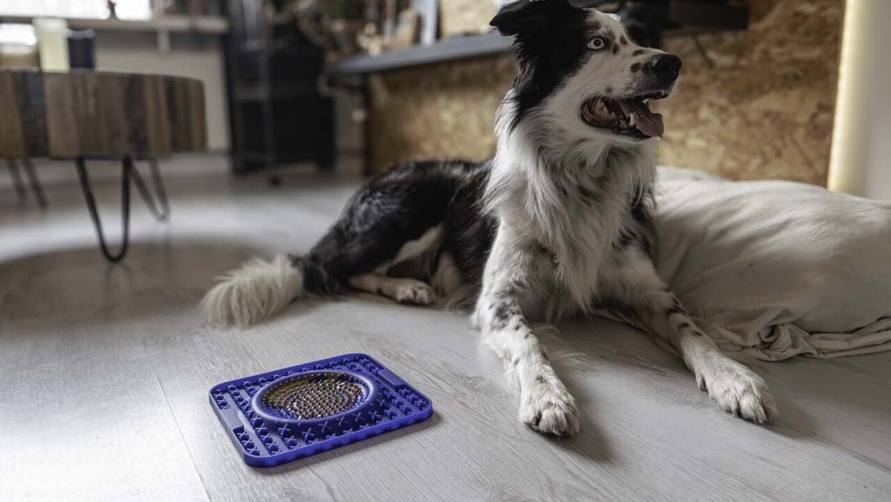 Eat Slow Live Longer Lick Mat Wave