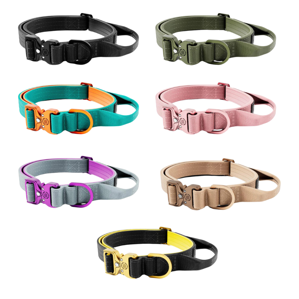BullyBillows Bullybillows Lighter Combat Collar 2,5cm BullyBillows Bullybillows Lighter Combat Collar 2,5cm