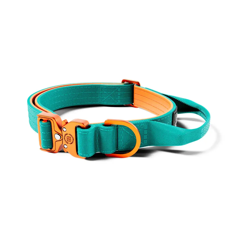 BullyBillows Bullybillows Lighter Combat Collar 2,5cm BullyBillows Bullybillows Lighter Combat Collar 2,5cm