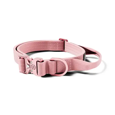 BullyBillows Bullybillows Lighter Combat Collar 2,5cm BullyBillows Bullybillows Lighter Combat Collar 2,5cm