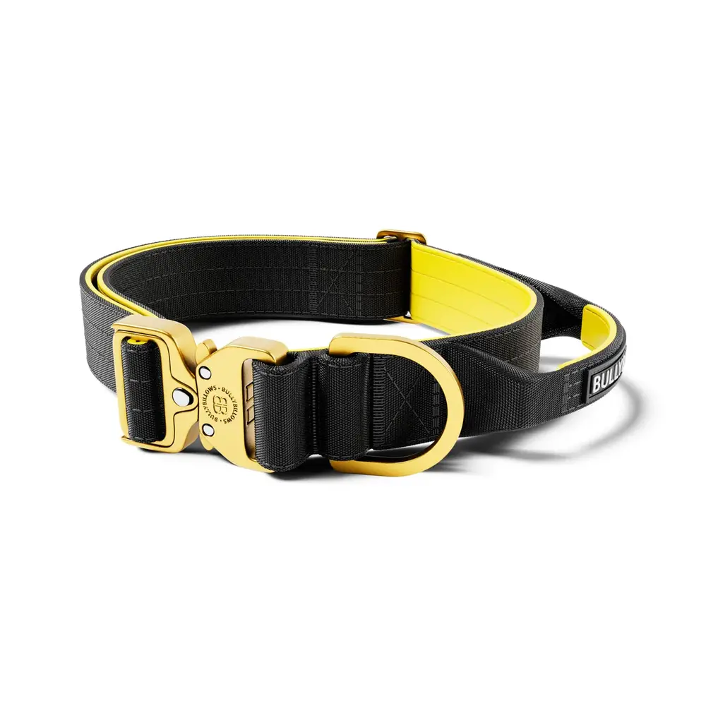 BullyBillows Bullybillows Lighter Combat Collar 4cm