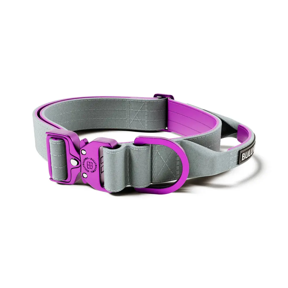 BullyBillows Bullybillows Lighter Combat Collar 4cm