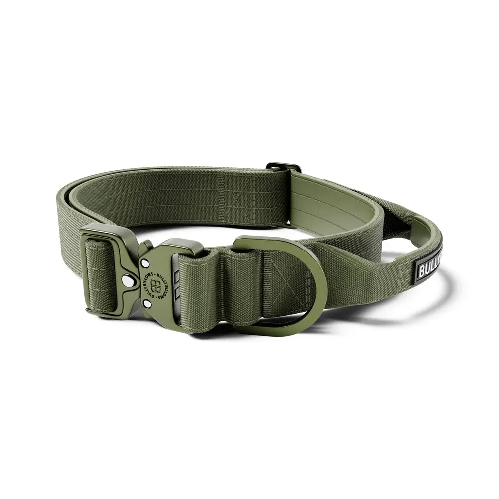 BullyBillows Bullybillows Lighter Combat Collar 4cm