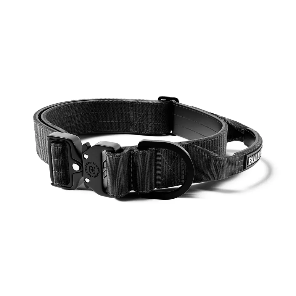BullyBillows Bullybillows Lighter Combat Collar 4cm