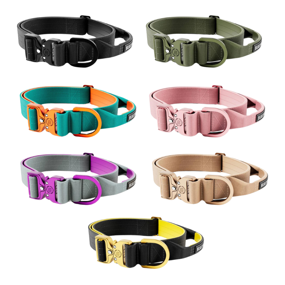 BullyBillows Bullybillows Lighter Combat Collar 4cm